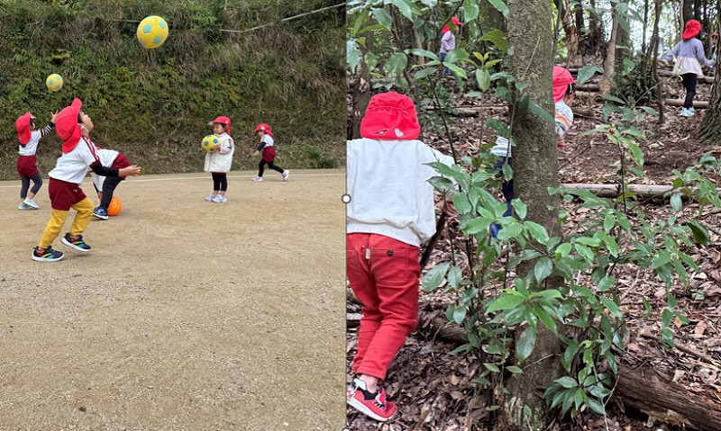今年最後の開園日